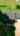 Blurred preview of media: _910 Lyndsey Brook Ct, Lincolnton
