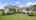 Blurred preview of media: 825 adonis