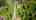 Blurred preview of media: Snohomish 6427 Unbranded
