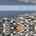 Blurred preview of media: 1060D Long Beach Blvd, North beach, NJ