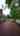 Blurred preview of media: 25409