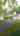 Blurred preview of media: 150 Idlebrook Ln, Aberdeen, NJ Unbranded