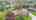 Blurred preview of media: 401 Fairview Dr. Whitby