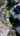 Blurred preview of media: 1800 N Cv Spgs Wy, Heber City, UT - v2