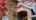 Blurred preview of media: 3434 Doubletree St