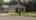 Blurred preview of media: 80 Riviera Dr - Victoria