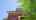 Blurred preview of media: 35 Burris St, Hamilton _ Katie R