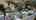 Blurred preview of media: Interior Pro Images 24625 Gilmore St UNBRANDED