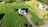 Blurred preview of media: 343_Cobbs_Mill_Rd_Bridgeton