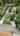 Blurred preview of media: Panorama