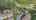 Blurred preview of media: final