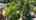 Blurred preview of media: 14927_se_cedar_ave,_portland,_oregon_unbranded_v1