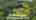 Blurred preview of media: 95NarrowLane_MLS_v1