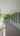 Blurred preview of media: 42BallardStreet_MLS_v1