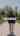 Blurred preview of media: 3034 Station Rd, Fordwich - vertical