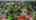 Blurred preview of media: 82 Union Ave. Port Perry
