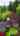 Blurred preview of media: 9070_sw_howatt_st,_portland,_oregon_ver2_v1