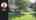 Blurred preview of media: 9FosterStreet_Branded_v1