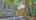 Blurred preview of media: 141 Poinsettia Street