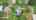 Blurred preview of media: 118