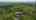 Blurred preview of media: 137 Burningbush