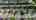 Blurred preview of media: 114_Sunset_Dr_Mt_Royal