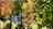 Blurred preview of media: 21PalmettoDrive_MLS_v1