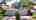 Blurred preview of media: botanica