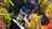 Blurred preview of media: 690 Orchard Shore Rd, Colchester