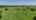 Blurred preview of media: 596 CR 339 Gainesville 3