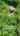 Blurred preview of media: 112ElmStreet_MLS_v1