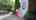 Blurred preview of media: 66BaltimoreStreet_Branded_v1