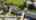 Blurred preview of media: 933 Waterloo Ave
Monroe MI