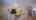 Blurred preview of media: 600 North Ocean Blvd Unit 2A_ NON BRANDED (1)