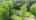 Blurred preview of media: 8SouthStreet_MLS_v1