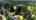 Blurred preview of media: 3475_sw_ridgewood_ave_portland,_oregon_unbranded_v1