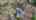 Blurred preview of media: 55LazarusWay_MLS_v1