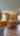 Blurred preview of media: 8539_sw_166th_terrace,_beaverton,_oregon_vertical_30s_v1
