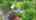 Blurred preview of media: 276MiddleRoad_MLS_v1