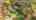 Blurred preview of media: 118 Autumn View Lane SlideShow 