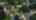 Blurred preview of media: 122 Water Street, St Jacobs horizontal