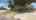 Blurred preview of media: 1306 W ABRAM STREET