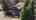 Blurred preview of media: 1535 Side Rd 15, Wiarton, ON