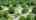 Blurred preview of media: 37NewtownRoad_MLS_v1
