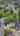 Blurred preview of media: 11010 SW Eschman Way Unbranded
