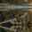 Blurred preview of media: 1065 Howick Street, Wroxeter