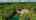 Blurred preview of media: 3700 Glen Lake Road - SH