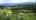 Blurred preview of media: 411 Sourwood