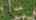 Blurred preview of media: 2168_Bluff_View_Dr