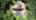 Blurred preview of media: 1183 Hamilton Rd